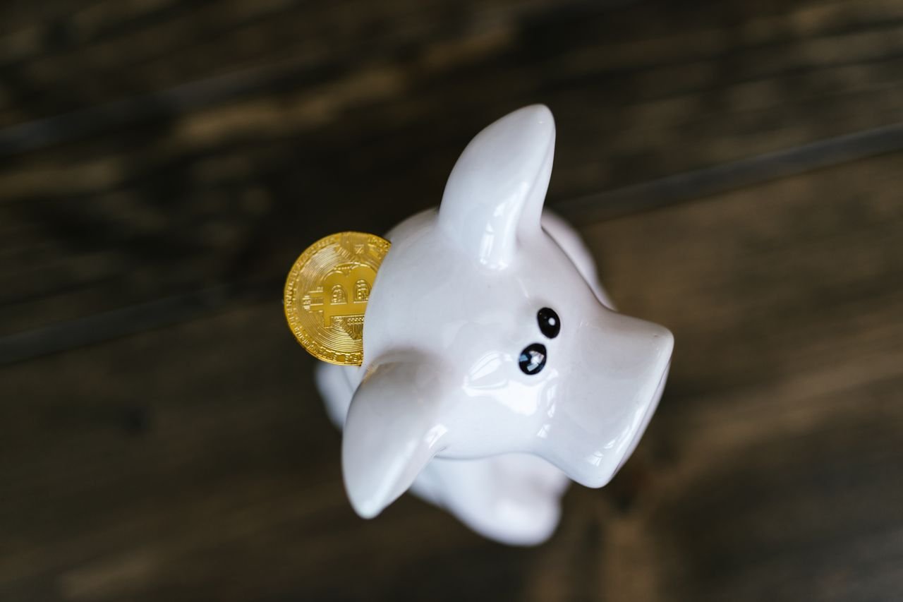 Como escolher um curso de investimentos? 9 recomendações essenciais!